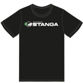 Stanga